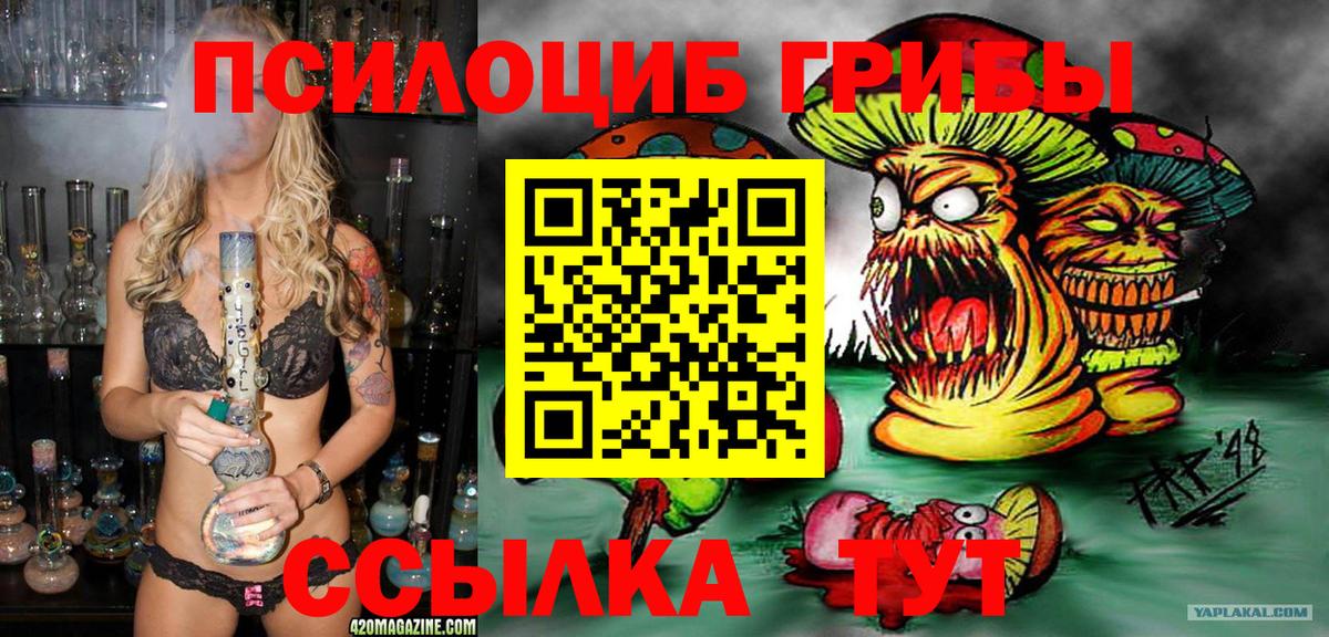 Псилоцибиновые грибы Psilocybine cubensis  Вход с VPN  Семилуки 